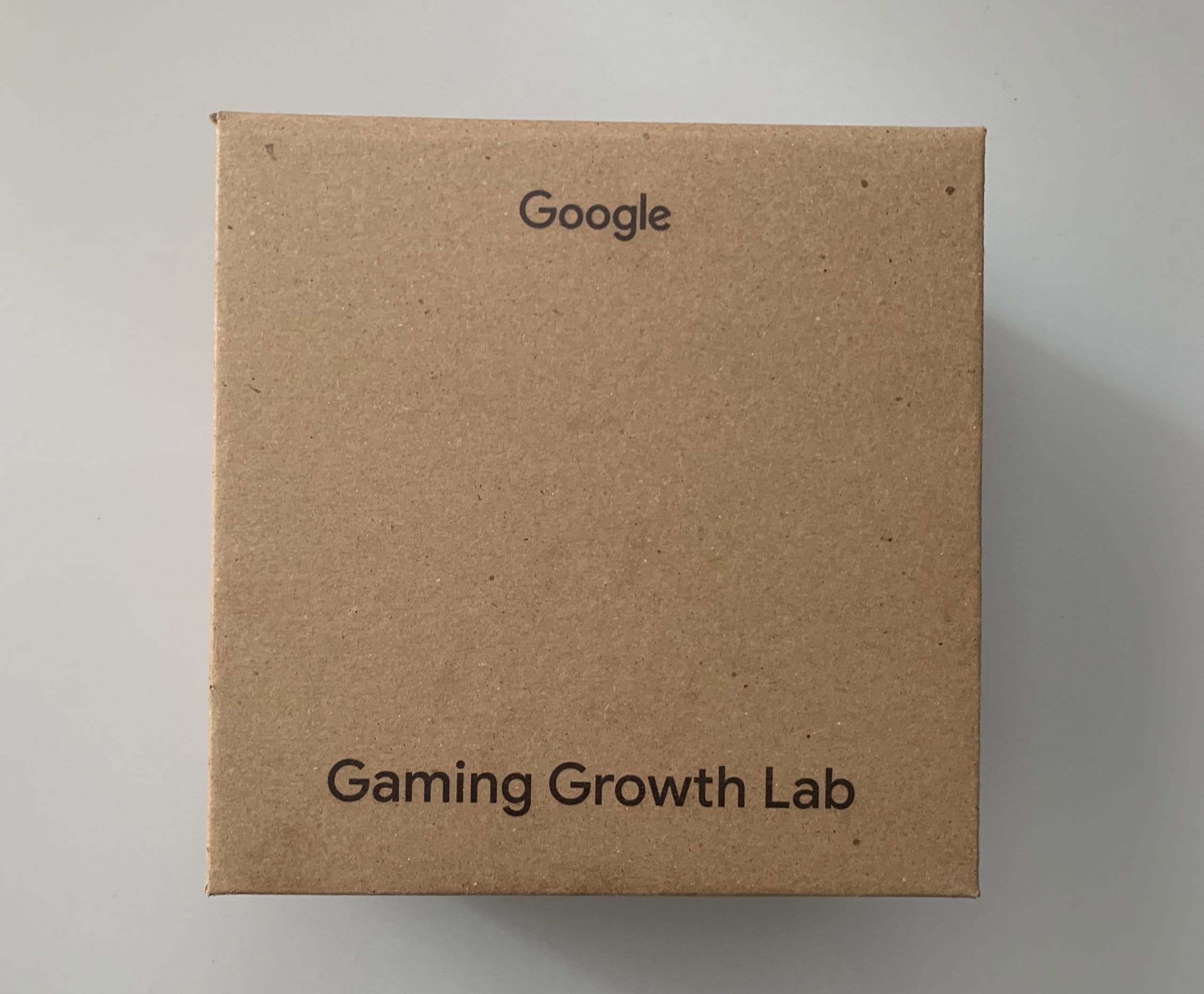 Google Gaming Growth Lab Hediye Kutusu - 2